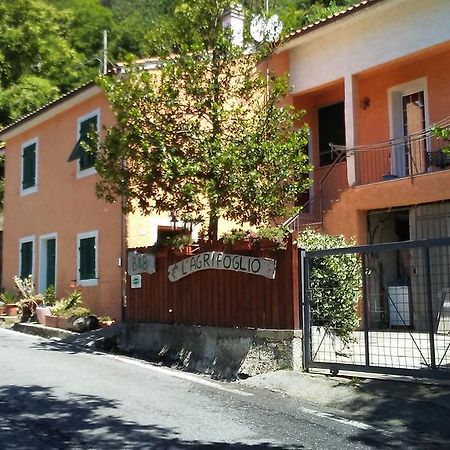 לינה וארוחת בוקר Magliolo Casa Vacanze L'Agrifoglio מראה חיצוני תמונה