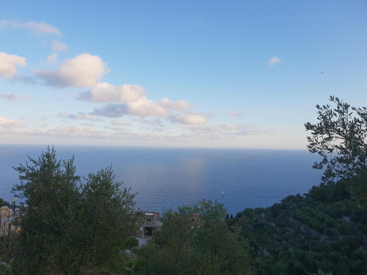 לינה וארוחת בוקר Magliolo Casa Vacanze L'Agrifoglio מראה חיצוני תמונה
