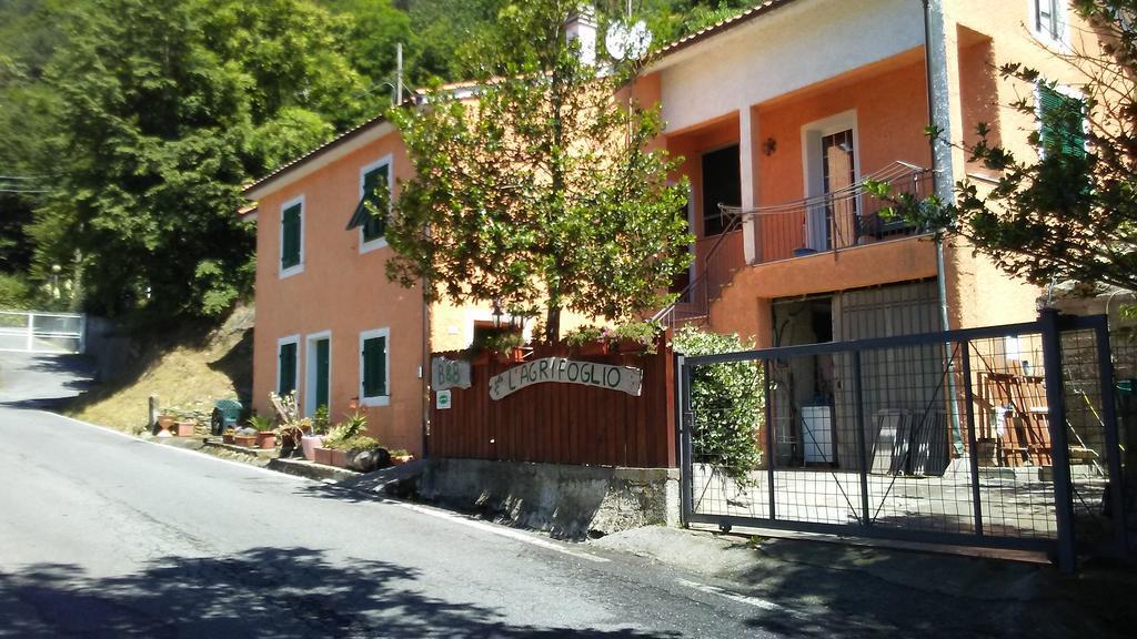 לינה וארוחת בוקר Magliolo Casa Vacanze L'Agrifoglio מראה חיצוני תמונה